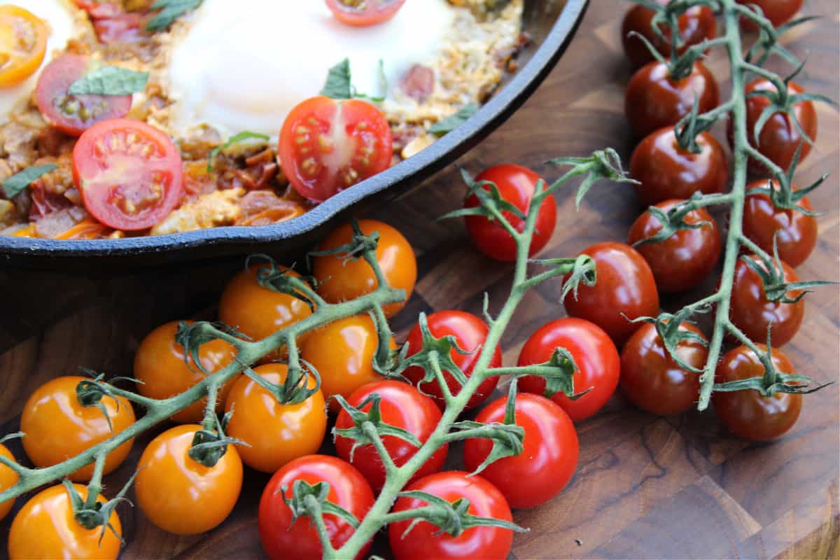 How to make Shakshuka using fresh tomatoes