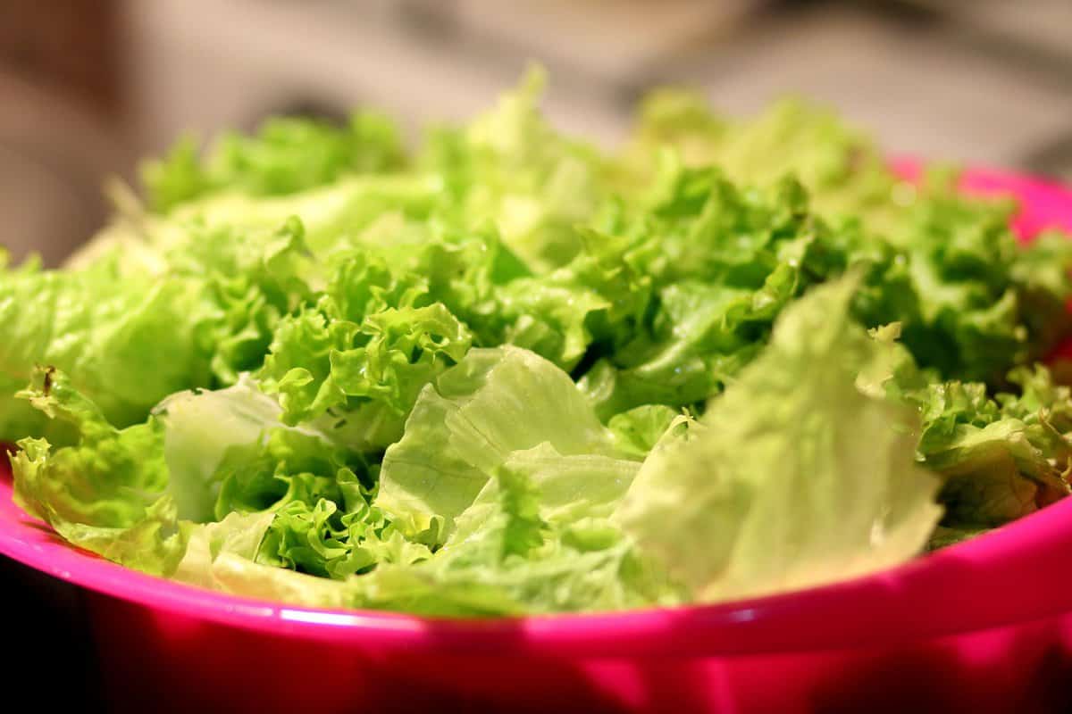 Mandarin Tossed Salad - Chopped Lettuce in Bowl