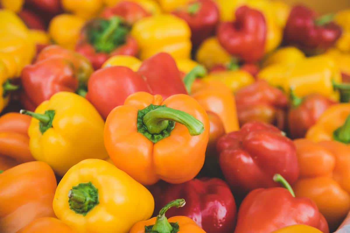 Turkey and Kale Quinoa Stuffed Peppers - Assorted Bell Peppers