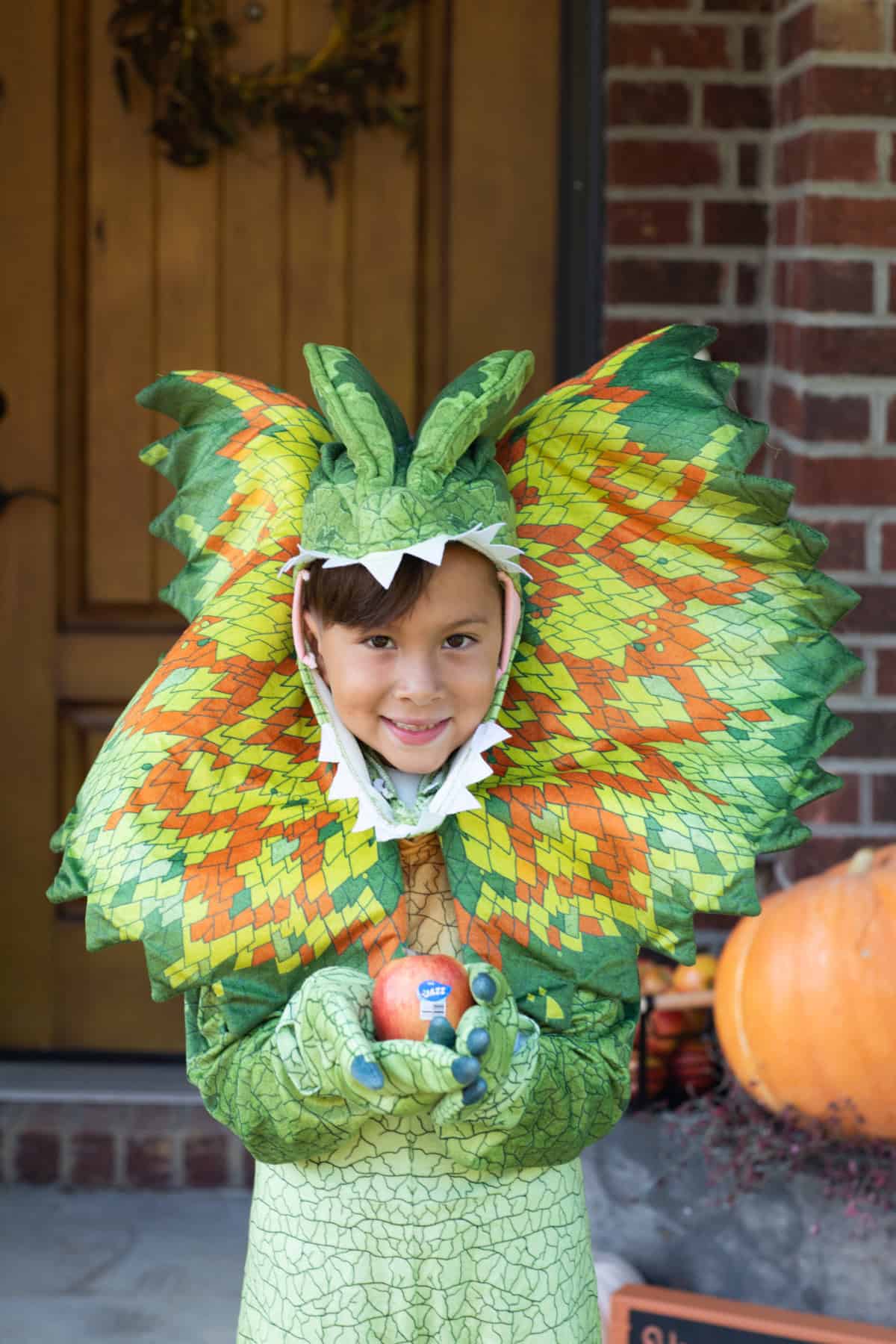 A child wearing a dragon costume, holding a jazz apple.