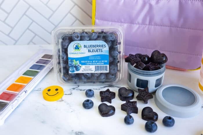 Back-to-school snack scene with Consalo Family Farms blueberries and homemade blueberry gummies in fun shapes.