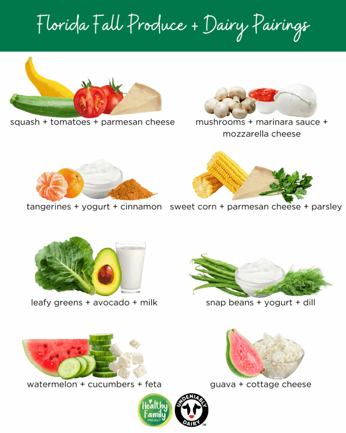 Infographic showing Florida fall produce and dairy pairings for kids, including squash with tomatoes and parmesan cheese, mushrooms with marinara and mozzarella, tangerines with yogurt and cinnamon, sweet corn with parmesan and parsley, leafy greens with avocado and milk, snap beans with yogurt and dill, watermelon with cucumber and feta, and guava with cottage cheese.
