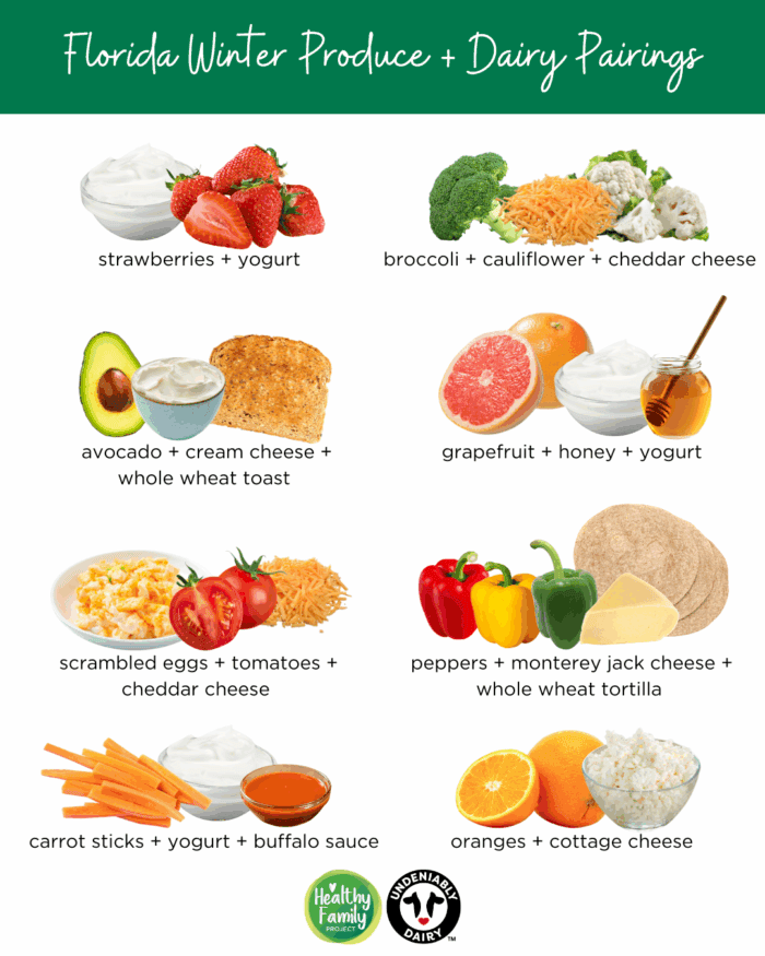 Infographic highlighting Florida winter produce and dairy pairings for kids with strawberries and yogurt, broccoli and cauliflower with cheddar cheese, avocado with cream cheese on whole wheat toast, grapefruit with honey and yogurt, scrambled eggs with tomatoes and cheddar cheese, peppers with monterey jack cheese in whole wheat tortilla, carrot sticks with yogurt and buffalo sauce, and oranges with cottage cheese.